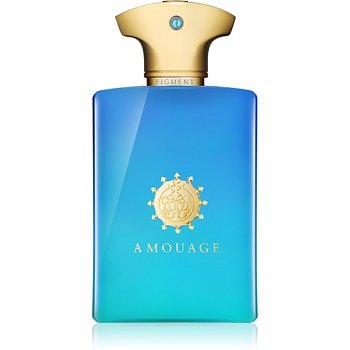 Amouage Figment parfémovaná voda pro muže 100 ml