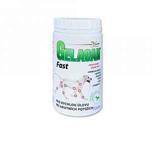 Gelacan Fast 500 g a.u.v.