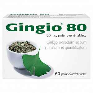 Gingio 80 perorální tablety film  60 x 80 mg