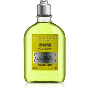 L’Occitane Cedrat sprchový gel na tělo a vlasy pro muže 250 ml
