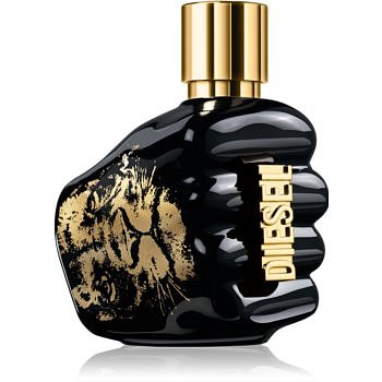 Diesel Spirit of the Brave toaletní voda pro muže 50 ml