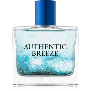 Jeanne Arthes Authentic Breeze toaletní voda pro muže 100 ml