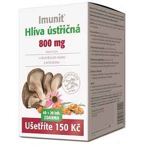 Hlíva ústř.800mg s rakyt. a echi. Imunit 40+20tob