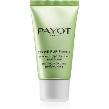 Payot Pâte Grise čisticí krém proti nedokonalostem pleti 50 ml