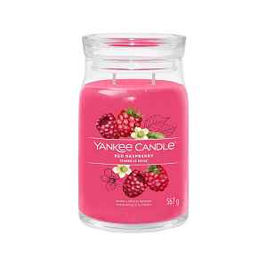 Yankee Candle vonná svíčka Red Raspberry 567g