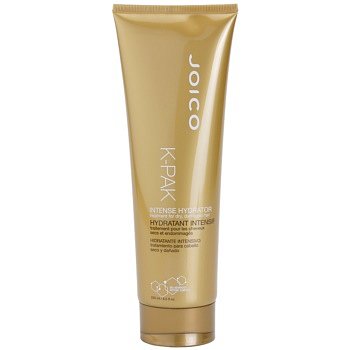 Joico K-PAK Moisture maska pro suché a poškozené vlasy 250 ml