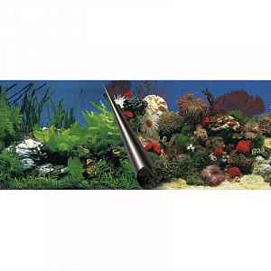 Ebi Photo Decor Stone + Coral  80 x 40cm