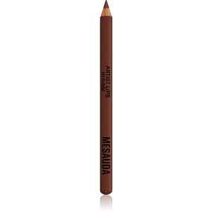 Mesauda Artist Lips konturovací tužka na rty odstín 101 Fudge 1.14 g