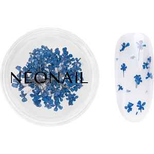 NEONAIL Dried Flowers sušený květ na nehty odstín 04 Navy 1 ks
