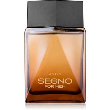 Avon Segno parfémovaná voda pro muže 75 ml