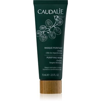 Caudalie Masks&Scrubs čisticí maska proti nedokonalostem pleti  75 ml