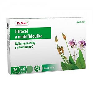 Dr.Max HERBAL BYLINNÉ PASTILKY JITROCEL + MATEŘÍDOUŠKA 36 pastilek