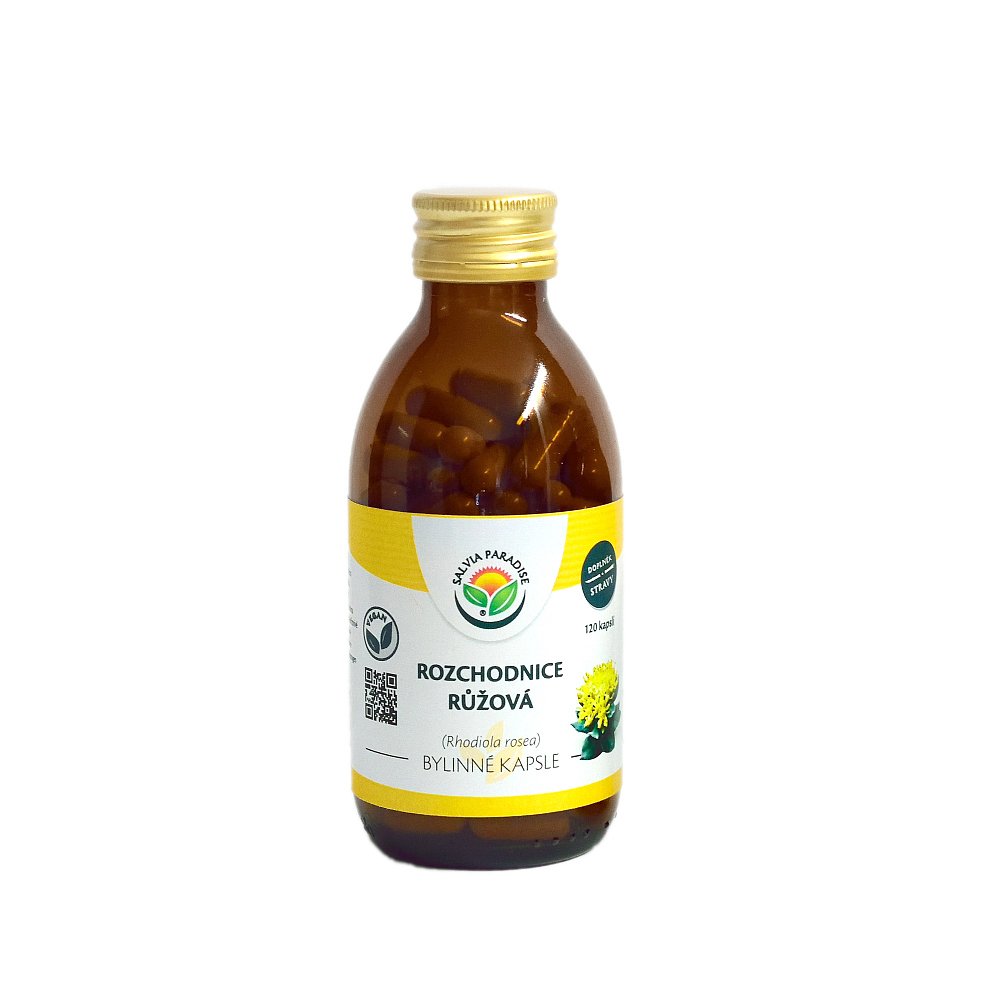 SALVIA PARADISE Rozchodnice růžová - Rhodiola kapsle 120 ks