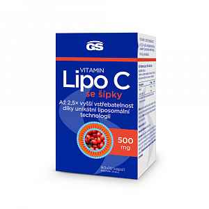 GS Vitamin Lipo C 500 mg se šípky 90+10 kapslí