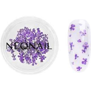 NEONAIL Dried Flowers sušený květ na nehty odstín 06 Violet 1 ks
