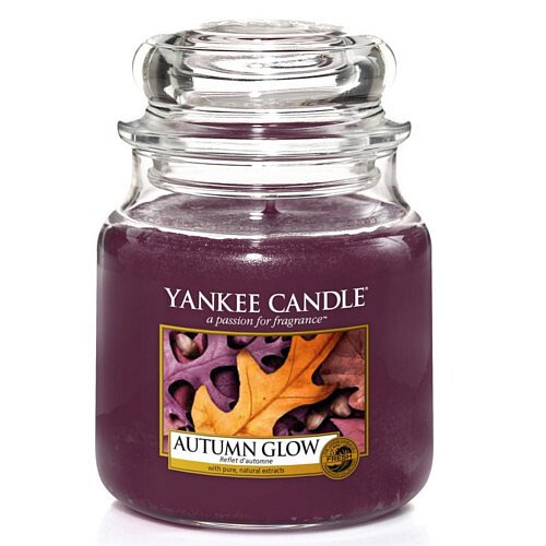 Yankee Candle Vonná svíčka Classic střední Zářivý podzim  411 g