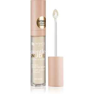 AA Wings of Color Gentle Nude Concealer tekutý korektor odstín 400 Nude 6.2 g
