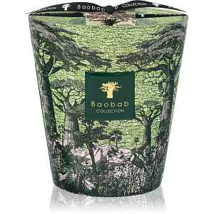 Baobab Collection Sacred Trees Touba vonná svíčka 1100 g