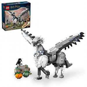 LEGO Harry Potter™ 76427 Klofan