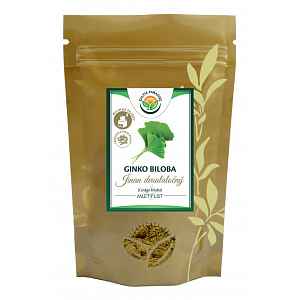 SALVIA PARADISE Ginkgo biloba - ginko mletý list 120 g