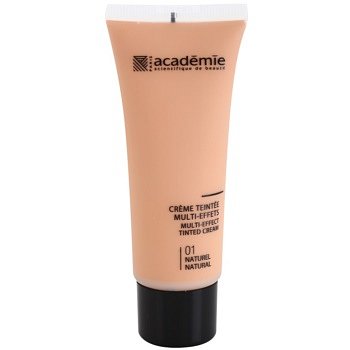 Academie Make-up Multi-Effect tónovací krém pro perfektní pleť odstín 01 Natural 40 ml