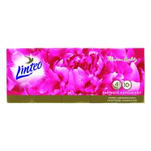 Papírové kapes.LINTEO PREMIUM-4-vrstvé bílé 10x10
