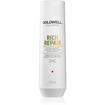 Goldwell Dualsenses Rich Repair obnovující šampon pro suché a poškozené vlasy 250 ml