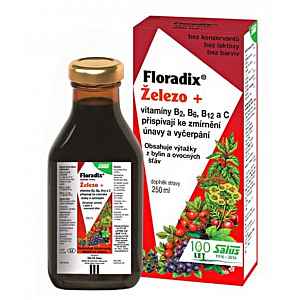 SALUS Floradix 500ml