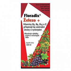 SALUS Floradix 500ml