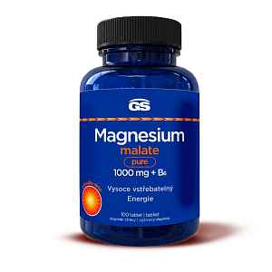GS Magnesium malate pure 1000mg+B6 tbl.100