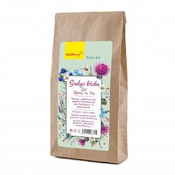 Wolfberry Ginkgo biloba bylinný čaj sypaný 50 g