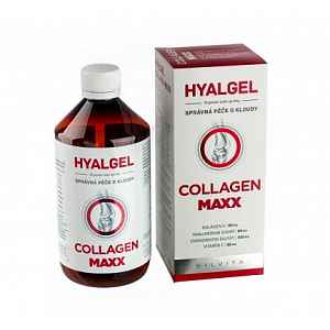 Hyalgel Collagen MAXX 500 ml