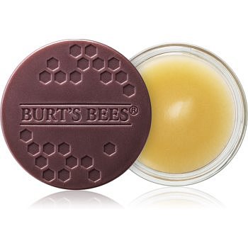 Burt’s Bees Lip Treatment intenzivní noční péče na rty  7,08 g