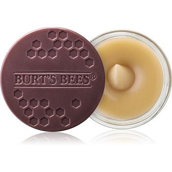 Burt’s Bees Lip Scrub peeling na rty s vyživujícím účinkem  7,08 g