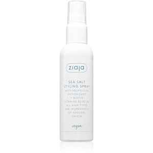 Ziaja Antioxidant Care Sea Salt Styling Spray stylingový sprej s mořskou solí 90 ml