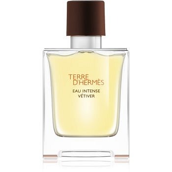 Hermès Terre d'Hermès Eau Intense Vétiver parfémovaná voda pro muže 50 ml