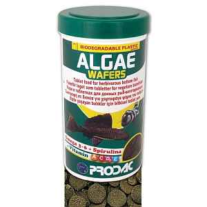 Krmivo pro ryby Prodac Algae Wafers 125 g