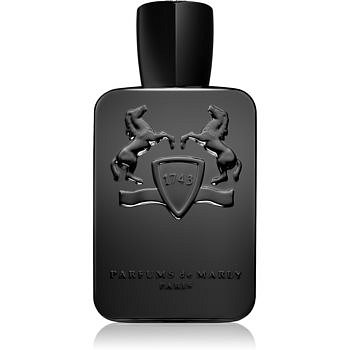 Parfums De Marly Herod Royal Essence parfémovaná voda pro muže 125 ml