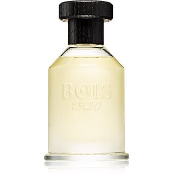 Bois 1920 Classic 1920 parfémovaná voda unisex 100 ml