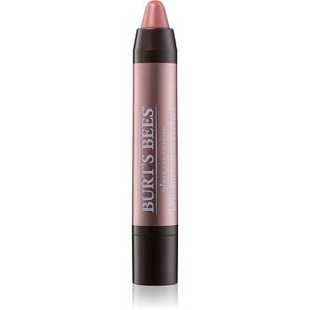 Burt’s Bees Glossy Lip Crayon rtěnka s vysokým leskem v tužce odstín 401 Outback Oasis 2,83 g