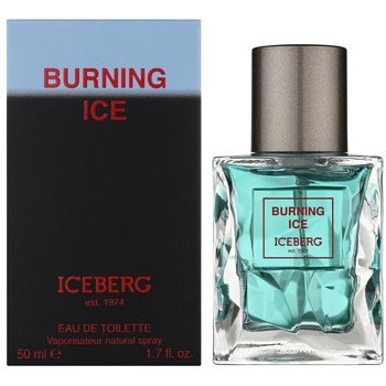 Iceberg Burning Ice toaletní voda pro muže 50 ml