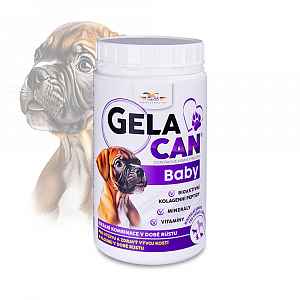 Orling Gelacan Plus Baby 500g