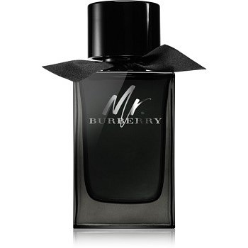 Burberry Mr. Burberry parfémovaná voda pro muže 150 ml