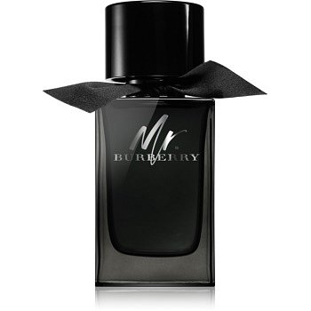 Burberry Mr. Burberry parfémovaná voda pro muže 100 ml