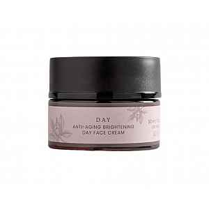 Officina Fitobiologica Day Cream rozjasňující krém proti vráskám 50 ml
