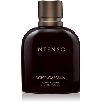 Dolce & Gabbana Pour Homme Intenso parfémovaná voda pro muže 200 ml