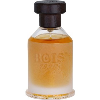 Bois 1920 Real Patchouly toaletní voda unisex 100 ml