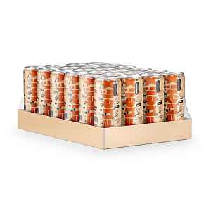 FUELIX DRINK, pomeranč, 24 x 250 ml