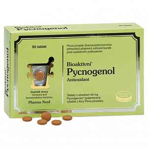 Bioaktivní Pycnogenol tablety 90