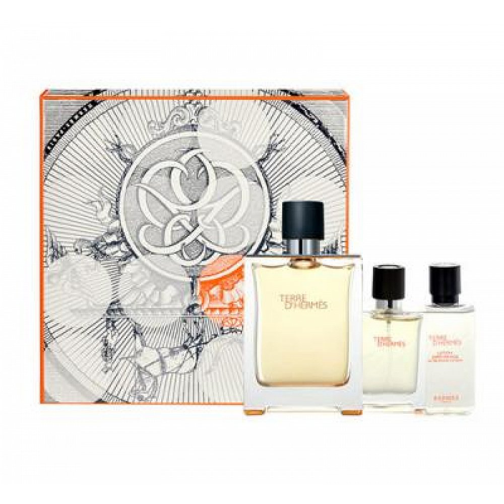 Hermes Terre D Hermes Toaletní voda 100ml Edt 100 + 12,5ml toaletní voda + 40ml voda po holení